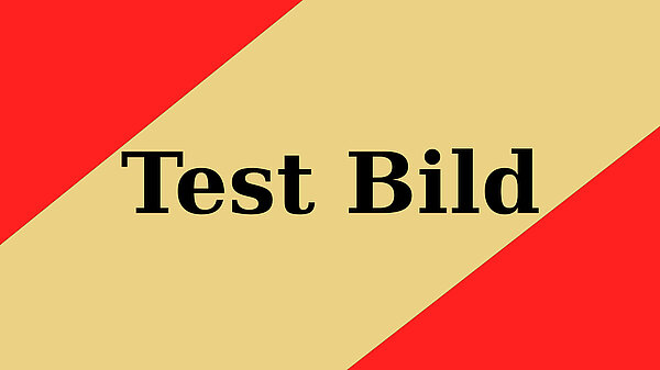 Das Bild hat einen beigefarbenen diagonalen Streifen in der Mitte mit der Aufschrift Test Bild in fetten schwarzen Buchstaben. Die Ecken des Bildes sind leuchtend rot.